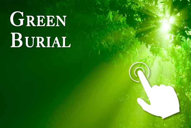 Green Burial for Stamford, Greenwich and Norwalk, Fairfield County, Connecticut families